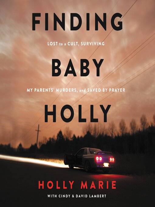 Title details for Finding Baby Holly by Holly Marie - Wait list